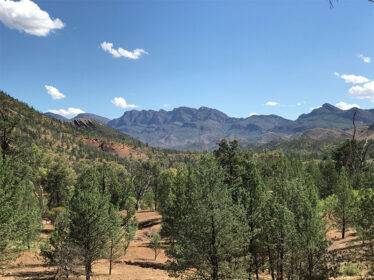 Brachina Gorge
