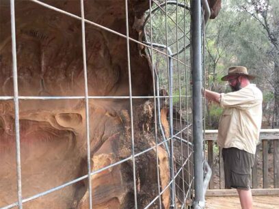 Cage protects paintings