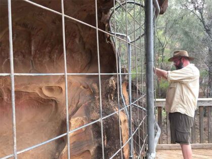 Cage protects paintings