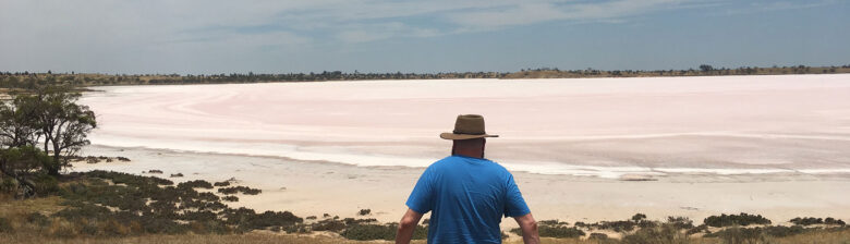 david-pink-lakes-feature